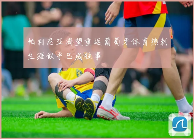 帕利尼亚渴望重返葡萄牙体育热刺生涯似乎已成往事